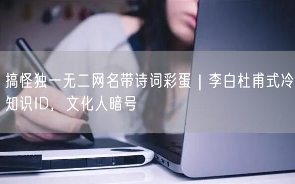 搞怪独一无二网名带诗词彩蛋|李白杜甫式冷知识ID,文化人暗号