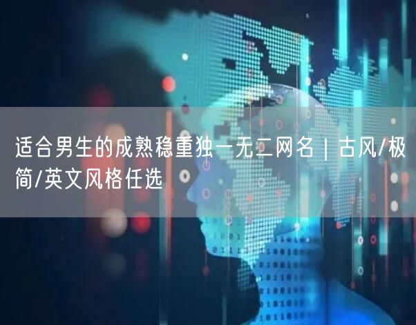 适合男生的成熟稳重独一无二网名|古风/极简/英文风格任选