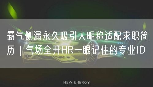 霸气侧漏永久吸引人昵称适配求职简历|气场全开HR一眼记住的专业ID