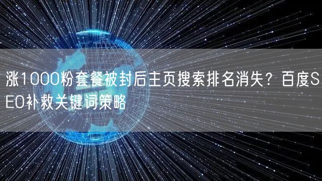 涨1000粉套餐被封后主页搜索排名消失?百度SEO补救关键词策略
