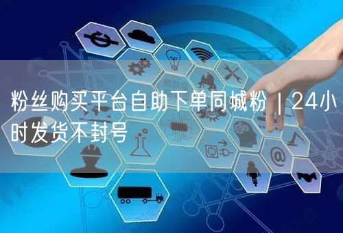 粉丝购买平台自助下单同城粉|24小时发货不封号
