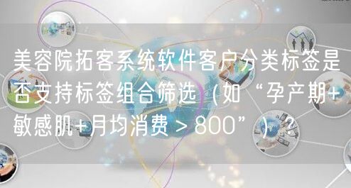 美容院拓客系统软件客户分类标签是否支持标签组合筛选(如“孕产期+敏感肌+月均消费