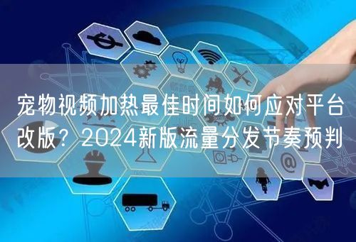 宠物视频加热最佳时间如何应对平台改版?2024新版流量分发节奏预判
