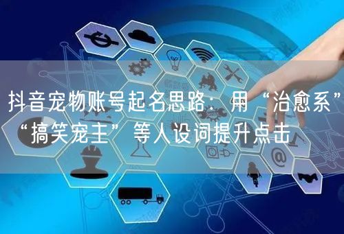 抖音宠物账号起名思路:用“治愈系”“搞笑宠主”等人设词提升点击